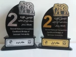 مسابقات پل مقوایی
