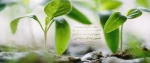 رهایی از رکود و بی انگیزگی