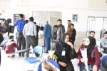 برگزاری مسابقه نجات تخم مرغ در دانشگاه فنی و حرفه ای استان یزد 6