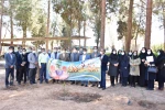 کاشت 70 اصله نهال در دانشکده فنی شهید صدوقی یزد 5