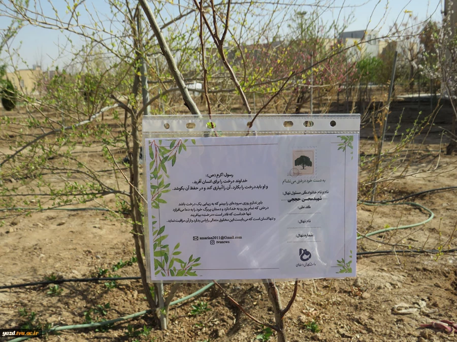 کاشت بیش از 150 اصله درخت مثمر به مناسبت روزدرختکاری وهفته منابع طبیعی در آموزشکده فنی دختران میبد
 6