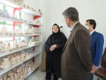 بازدید دکتر زمانی معاونت اداری مالی دانشگاه فنی ودکتر ضرغامی مدیر کل حقوقی دانشگاه از آموزشکده فنی دختران میبد 7