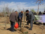 کاشت 135اصله درخت مثمروغیرمثمر به مناسبت روزدرختکاری وهفته منابع طبیعی در آموزشکده فنی دختران میبد
 11