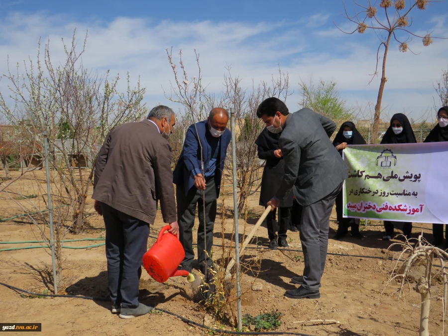 کاشت 135اصله درخت مثمروغیرمثمر به مناسبت روزدرختکاری وهفته منابع طبیعی در آموزشکده فنی دختران میبد
 11