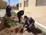 کاشت نهال در دانشگاه فنی و حرفه ای استان یزد  6