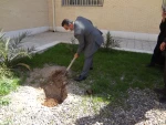 کاشت نهال در دانشگاه فنی و حرفه ای استان یزد  5