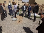 کاشت نهال در دانشگاه فنی و حرفه ای استان یزد  2