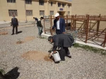 کاشت نهال در دانشگاه فنی و حرفه ای استان یزد  3
