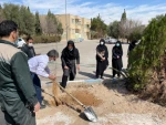 15 اسفندماه  روز درختکاری 6
