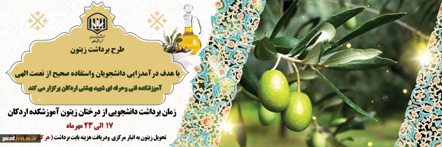 طرح برداشت زیتون با هدف درآمدزایی دانشجویان واستفاده صحیح از نعمت الهی 2