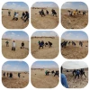 مسابقات_کبدی_ساحلی_بانوان

 2