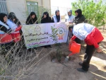 کاشت نهال به مناسبت روز درختکاری وهفته منابع طبیعی در آموزشکده فنی دختران میبد
 2
