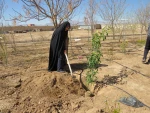 کاشت نهال به مناسبت روز درختکاری وهفته منابع طبیعی در آموزشکده فنی دختران میبد
 3