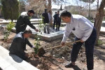کاشت نهال در دانشگاه فنی و حرفه ای استان یزد 3
