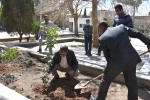 کاشت نهال در دانشگاه فنی و حرفه ای استان یزد 4