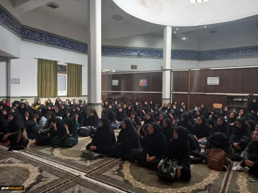 همایش دانشجو،جوانان و آسیب های اجتماعی در دانشگاه ملی مهارت واحد دختران میبد 6