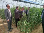 بازدید رییس دانشگاه ملی مهارت استان یزد از آموزشکده ملی مهارت خاتم«امین» 2