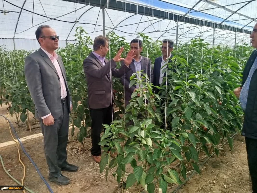 بازدید رییس دانشگاه ملی مهارت استان یزد از آموزشکده ملی مهارت خاتم«امین» 2