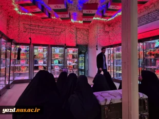 بازدید دانشجویان طراحی ودوخت آموزشکده ملی مهارت دختران میبدازموزه گنجینه شهدای اردکان 6