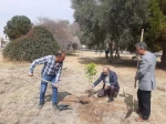 برگزاری مراسم روز درختکاری در آموزشکده امام علی (ع) یزد
 16