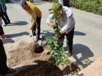 مراسم کاشت درخت به یاد شهیدان انقلاب اسلامی در دانشگاه ملی مهارت استان یزد 2