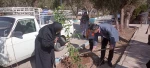 روز درختکاری در آموزشکده دختران حضرت رقیه(س) یزد 2