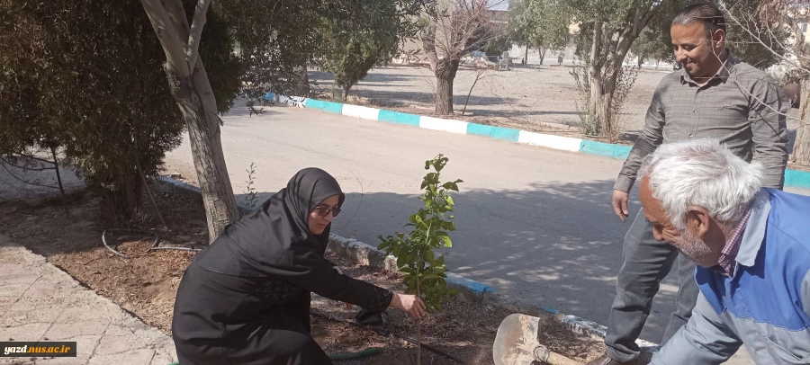 روز درختکاری در آموزشکده دختران حضرت رقیه(س) یزد 3