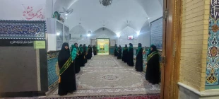 حضوردانشجویان آموزشکده ملی مهارت دختران میبد در برنامه گل والا به مناسبت آغاز دهه کرامت

 2