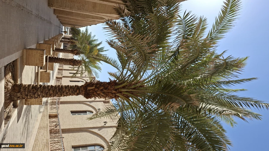 بازدید تخصصی دانشجویان رشته فناوری اطلاعات (IT)
 4