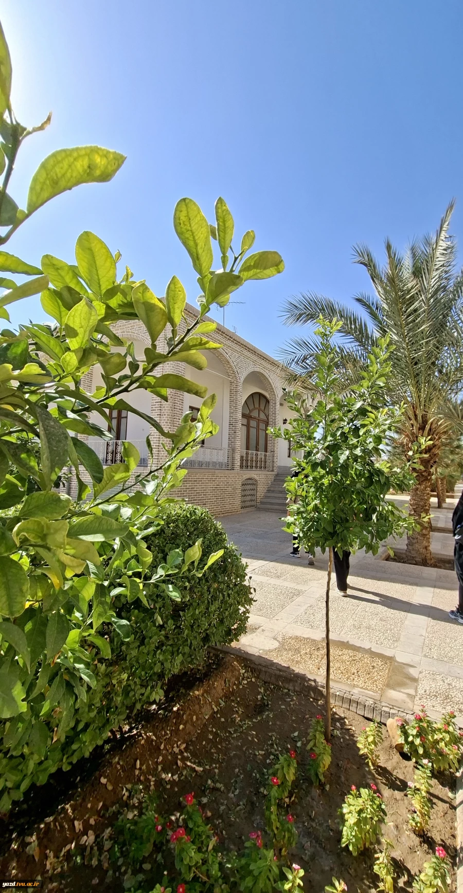 بازدید تخصصی دانشجویان رشته فناوری اطلاعات (IT)
 11