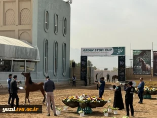 حضور دانشجویان دانشگاه ملی مهارت واحد دختران میبد در جشنواره زیبایی اسب اصیل عرب کشور
 3
