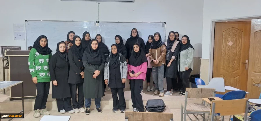 برگزاری رویداد هم‌اندیشی «آینده‌نگری در حوزه گرافیک» در آموزشکده ملی مهارت دختران میبد
 5