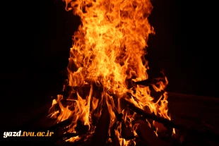 برگزاری مراسم فرهنگی  «قرارِ نور» 2