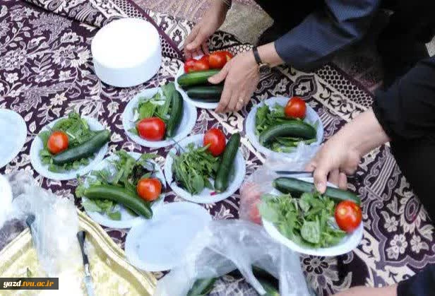 پیاده‌روی و دورهمی صمیمانه همکاران آموزشکده ملی مهارت دختران میبد به مناسبت هفته کرامت و میلاد با سعادت امام رضا (ع)
 2