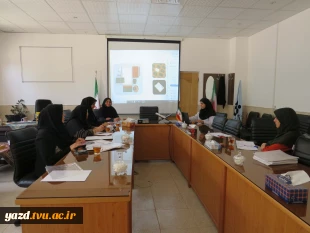 برگزاری جلسه مصاحبه علمی و تخصصی مدرسان رشته گرافیک در آموزشکده ملی مهارت دختران میبد
 2